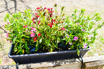 Viaje al Parque natural de Ordesa España