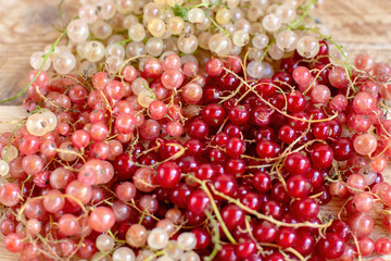 Vitamins. Summer berries. Red currant background. Close up, selective focus. Harvest Concept.