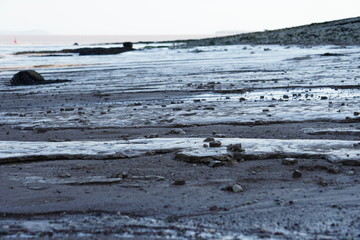 Muddy Beach