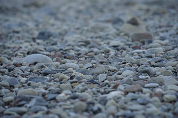Stony Beach
