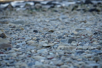 Stony Beach