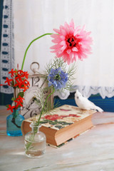 かわいい白い小鳥