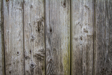 Wooden background - planks in a close up