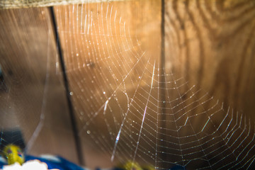 Spider web in a wooden shed in sunlight