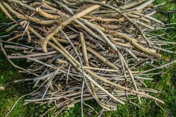 Pile of wood - cut branches  	
