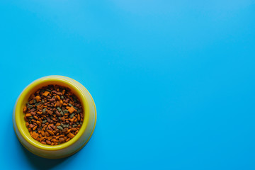 Top view cat food on blue background.