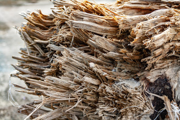 Fantastic Texture of close-up old wood piece view.