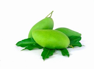 green mangos on a white background