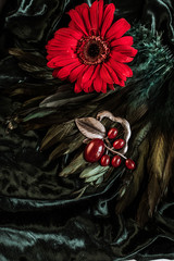 Vintage metal red brooch on velvet background