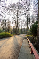 Path and bench in a park at sunset