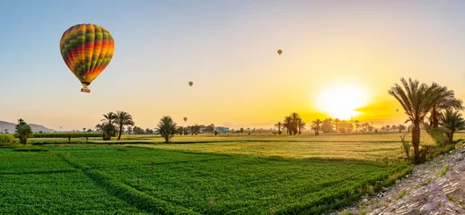 Foto op Plexiglas Air balloons above the field © zevana