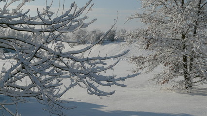 Lausitzer Winterlandschaft
