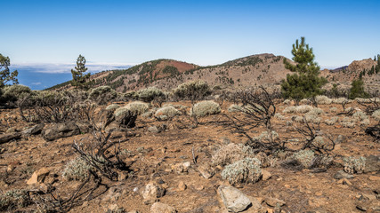 Desert slopes on the island of Tenerife
