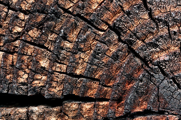 Wood with cracks.