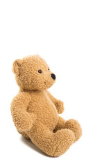 soft bear isolated