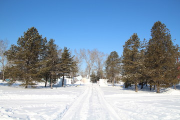 Obraz premium Path In William Hawrelak Park, Edmonton, Alberta
