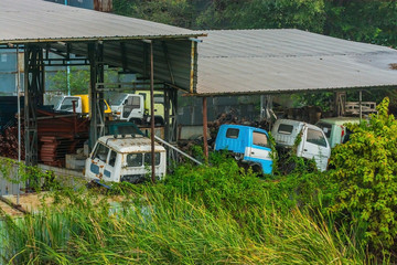 Old truck shed Covered with weeds and tall grass