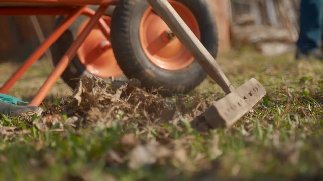 Raking leaves using rake. Person taking care of garden house yard grass. Agricultural, gardening equipment concept.