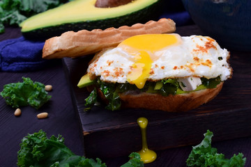Sandwich with fried egg with liquid yolk and kale cabbage