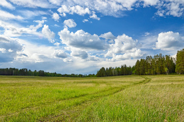 Fototapeta na wymiar clouds over a green meadow