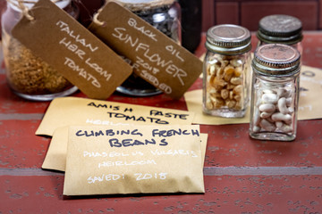 Heirloom Seeds being Preserved in Glass Jars - Botanical & Genus Names Are Scientific Names non-Commercial
