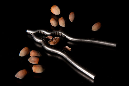 Dziadek 이미지 찾아보기 599 스톡 사진, 벡터 및 비디오 Adobe Stock