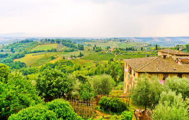 View of the countryside in Tuscany, Italy in summer.