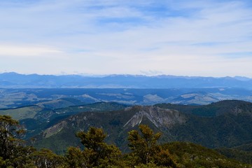 New Zealand Landscape