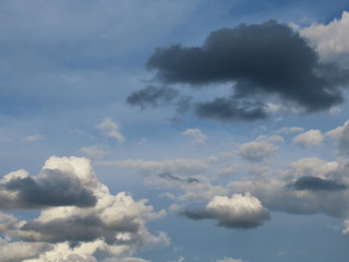 Soft white and grey stratocumulus clouds on a blue sky on a summer day before light rain