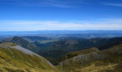 New Zealand Landscape