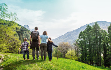 Fototapeta na wymiar family on a green meadow looking at the mountain panorama