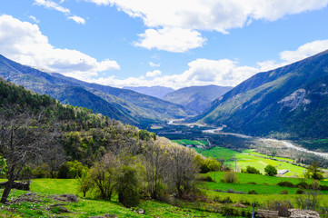 La naturaleza y animales en los pirineos de españa