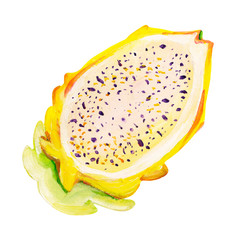 Gouache yellow dragon fruit or pattaya. Hand-drawn clipart for art work and weddind design.