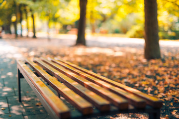 Empty bench in the autumnal park with blurred colorful background
