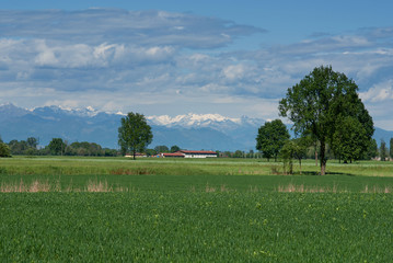 terreno agricolo coltivato a fieno