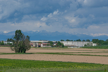 terreno agricolo seminato