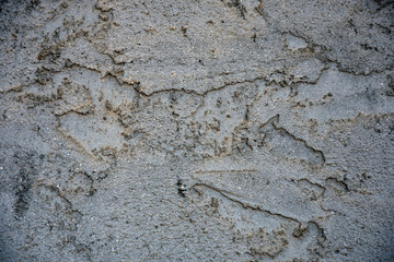 Old Concrete Wall Texture
