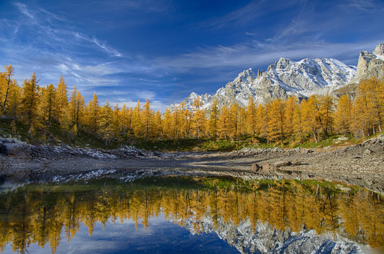 Autumn at Alpe Devero