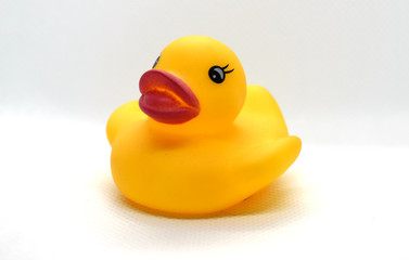 Yellow rubber duck for swimming on a white background