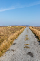 Fototapeta premium Bog with vegetation and lake