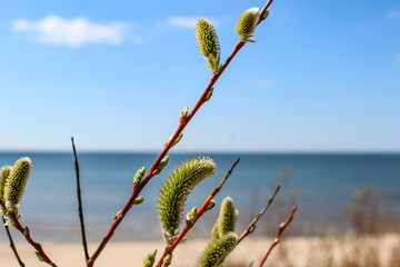 Sea and nature © AndreySoyka