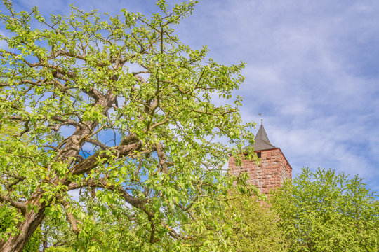 Burg Rothenfels in der n&auml;he von Marktheidenfeld in Bayern