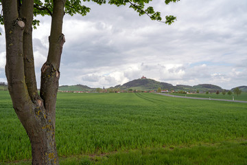 Fototapeta premium Frühlingswiese mit der Wachsenburg am Horizont