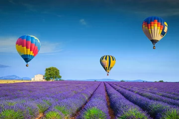 Fotobehang Bewonderenswaardige violette lavendelvelden en kleurrijke heteluchtballonnen, Frankrijk © janoka82