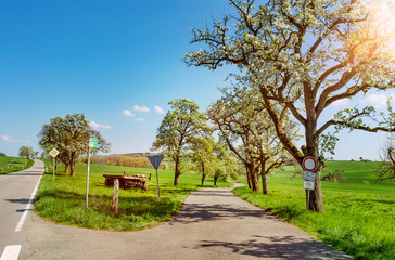 Saarland – Radwanderweg bei Gisingen im Frühling