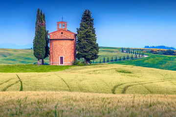 Rustic Vitaleta chapel and grain fields in summer, Tuscany, Italy