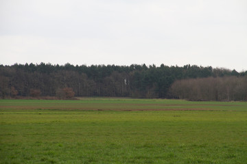 blick auf die ländliche landschaft in rhede ems emsland deutschland fotografiert draußen während eines spaziergangs an einem bewölkten tag
