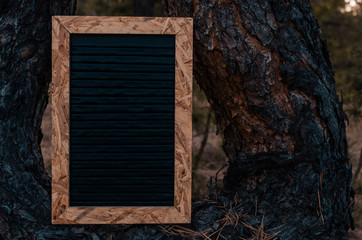 Clean letter board is installed on a pine tree in the forest.