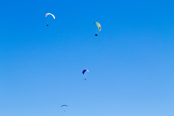 Paraglider on blue sky, Borso del Grappa, Italy