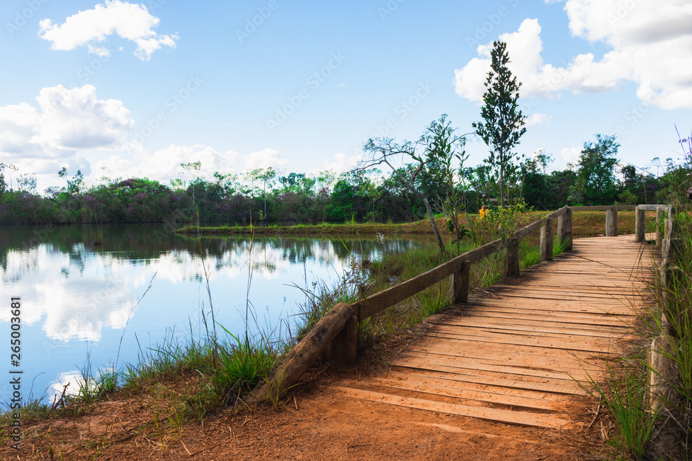 Canvas Prints wooden bridge over the river